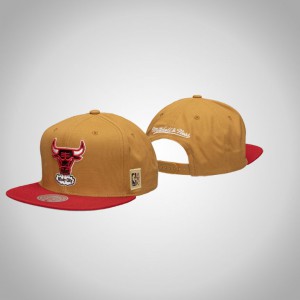 Chicago Bulls Purple Under Classic Snapback HWC Men's Pastel Hat - Cream 408437-386
