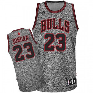 Michael Jordan Chicago Bulls Static Swingman Men's #23 Fashion Jersey - Gray 513392-221