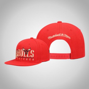 Chicago Bulls Vintage 2 Adjustable Snapback Men's Hardwood Classics Hat - Red 560912-661
