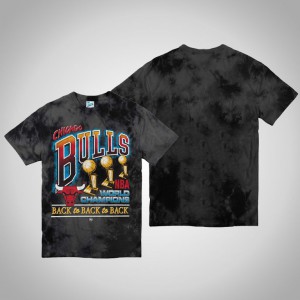 Chicago Bulls Streaker Vintage Tubular Playoff Limited Men's Kings Of The Court T-Shirt - Black 596893-769