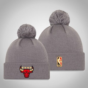 Chicago Bulls 2021 Edition Pom Cuffed Knit Men's City Hat - Gray 690456-499