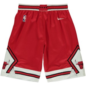 Chicago Bulls Edition Swingman Basketball Youth Icon Shorts - Red White 350075-907