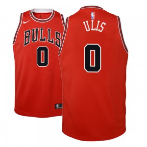 Tyler Ulis Chicago Bulls NBA 2018-19 Youth #0 Icon Jersey - Red 717719-391
